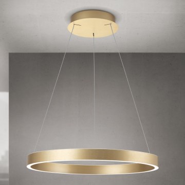 LED prigušiva luster na sajli KOLK LED/60W/230V 2700/3000/4000K prečnik 60 cm zlatna