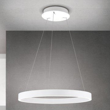 LED prigušiva luster na sajli KOLK LED/60W/230V 2700/3000/4000K Ø 60 cm bela