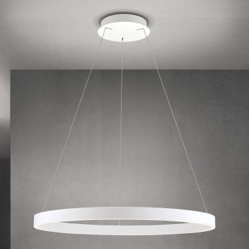 LED prigušiva luster na sajli KOLK LED/80W/230V 2700/3000/4000K prečnik 80 cm bela