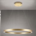 LED prigušiva luster na sajli KOLK LED/80W/230V 2700/3000/4000K prečnik 80 cm zlatna