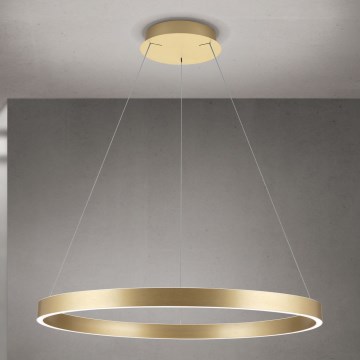 LED prigušiva luster na sajli KOLK LED/80W/230V 2700/3000/4000K prečnik 80 cm zlatna