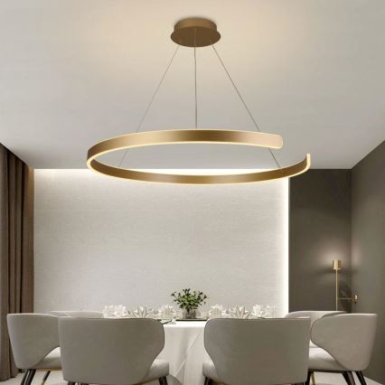 LED prigušiva visilica na sajli LED/100W/230V 3000-6500K prečnik 80 cm + daljinski upravljač