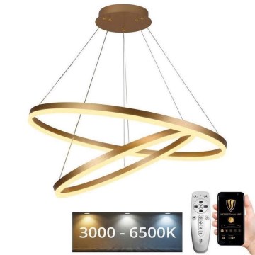 LED prigušiva luster na sajli LED/100W/230V 3000-6500K prečnik 80 cm + daljinski upravljač