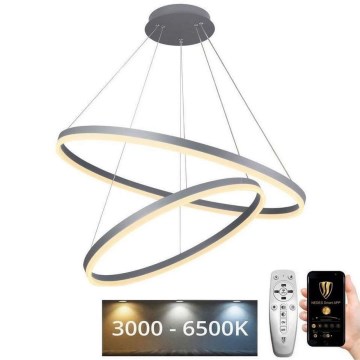 LED prigušiva luster na sajli LED/100W/230V 3000-6500K prečnik 80 cm + daljinski upravljač