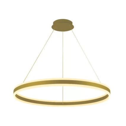 LED prigušiva luster na sajli LED/110W/230V 3000-6500K prečnik 80 cm + daljinski upravljač