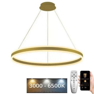 LED prigušiva luster na sajli LED/110W/230V 3000-6500K prečnik 80 cm + daljinski upravljač