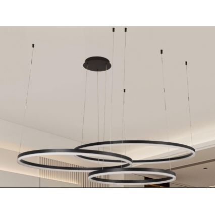 LED prigušiva luster na sajli LED/170W/230V 3000-6500K prečnik 100 cm + daljinski upravljač