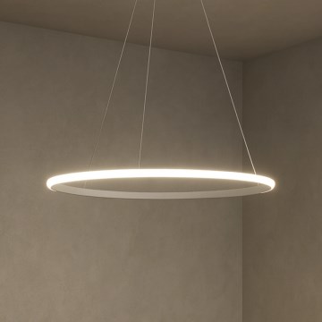 LED prigušiva luster na sajli LED/32W/230V 3000-6500K prečnik 60 cm + daljinski upravljač