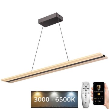 LED prigušiva luster na sajli LED/40W/230V 3000-6500K hrom + daljinski upravljač