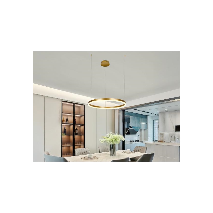 LED prigušiva luster na sajli LED/42W/230V 3000-6500K prečnik 60 cm + daljinski upravljač