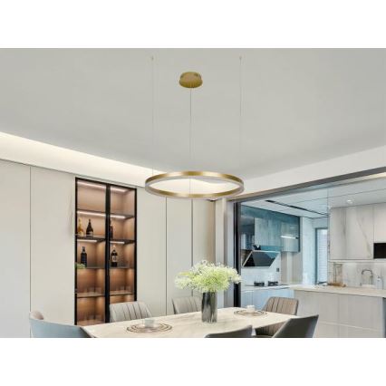 LED prigušiva luster na sajli LED/42W/230V 3000-6500K prečnik 60 cm + daljinski upravljač