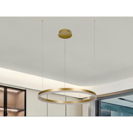 LED prigušiva luster na sajli LED/42W/230V 3000-6500K prečnik 60 cm + daljinski upravljač