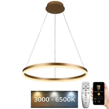 LED prigušiva luster na sajli LED/42W/230V 3000-6500K prečnik 60 cm + daljinski upravljač