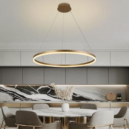 LED prigušiva luster na sajli LED/55W/230V 3000-6500K prečnik 80 cm + daljinsko upravljanje