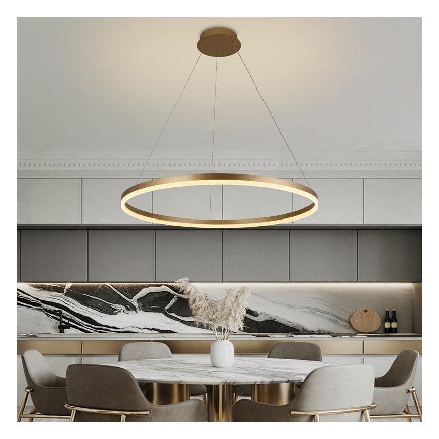 LED prigušiva luster na sajli LED/55W/230V 3000-6500K prečnik 80 cm + daljinsko upravljanje