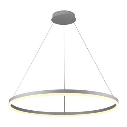 LED prigušiva luster na sajli LED/55W/230V 3000-6500K prečnik 80 cm + daljinski upravljač