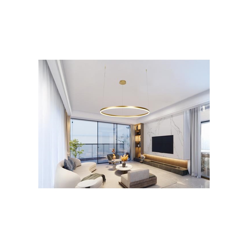 LED prigušiva luster na sajli LED/55W/230V 3000-6500K Ø 80 cm + daljinski upravljač