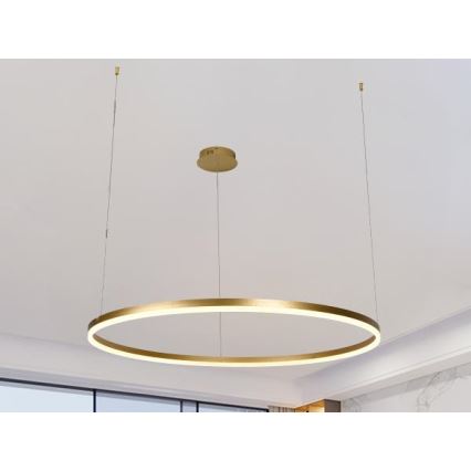 LED prigušiva luster na sajli LED/55W/230V 3000-6500K Ø 80 cm + daljinski upravljač