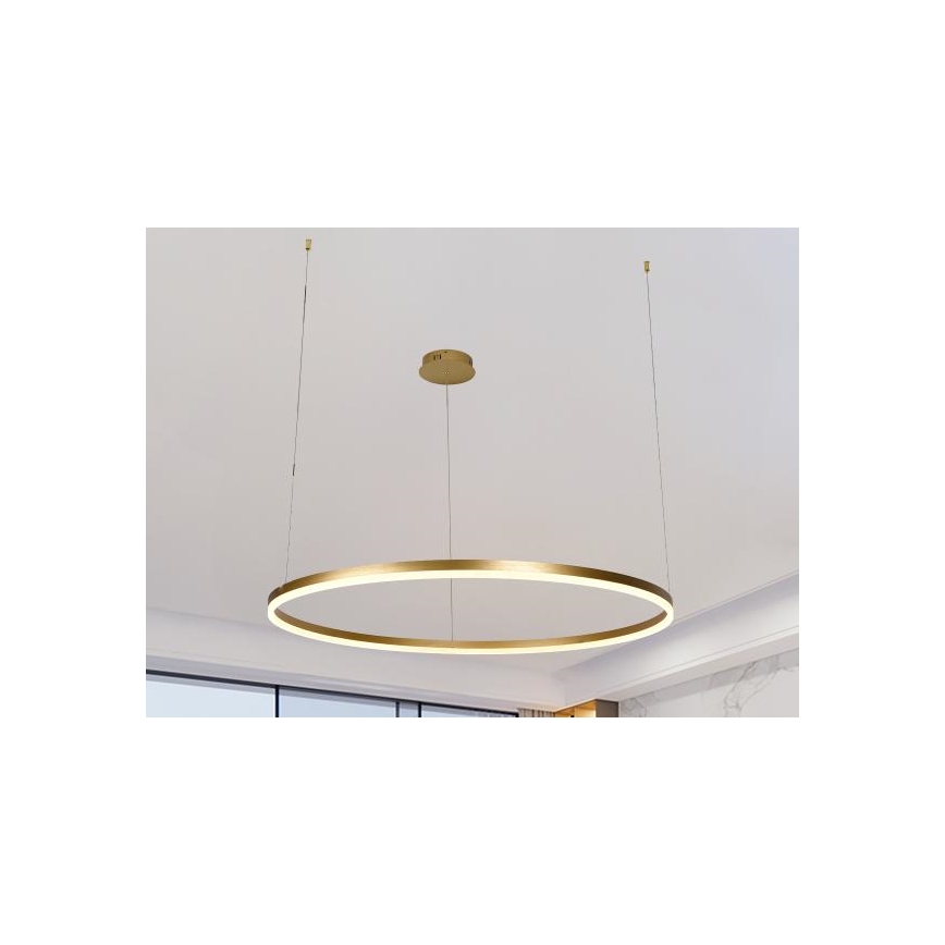 LED prigušiva luster na sajli LED/55W/230V 3000-6500K Ø 80 cm + daljinski upravljač