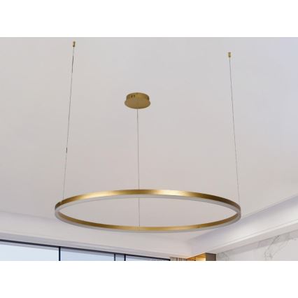 LED prigušiva luster na sajli LED/55W/230V 3000-6500K Ø 80 cm + daljinski upravljač