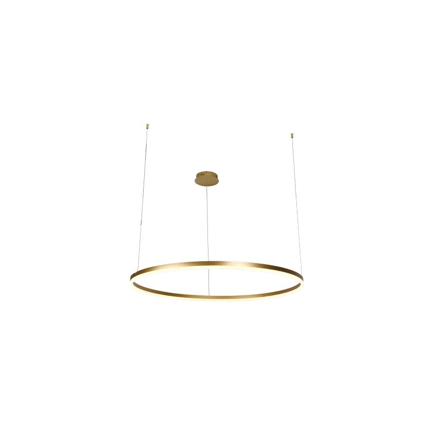 LED prigušiva luster na sajli LED/55W/230V 3000-6500K Ø 80 cm + daljinski upravljač