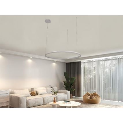 LED prigušiva viseći luster na kablu LED/55W/230V 3000-6500K, prečnik 80 cm + daljinski upravljač