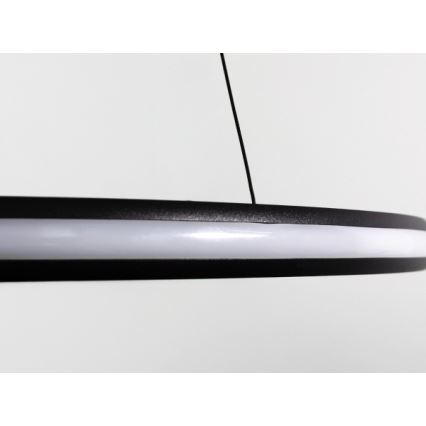 LED prigušiva luster na sajli LED/55W/230V 3000-6500K prečnik 60 cm + daljinski upravljač