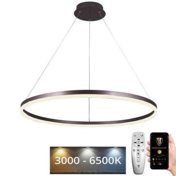 LED prigušiva luster na sajli LED/55W/230V 3000-6500K pr. 80 cm + daljinski upravljač
