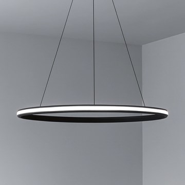 LED prigušiva luster na sajli LED/55W/230V 3000-6500K prečnik 60 cm + daljinski upravljač