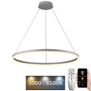LED prigušiva luster na sajli LED/55W/230V 3000-6500K prečnik 80 cm + daljinski upravljač