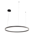 LED prigušiva luster na sajli LED/55W/230V 3000–6500K prečnik 80 cm + daljinski upravljač