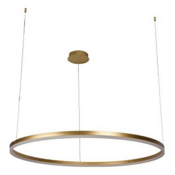 LED prigušiva luster na sajli LED/55W/230V 3000-6500K Ø 80 cm + daljinski upravljač