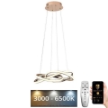 LED prigušiva luster na sajli LED/65W/230V 3000-6500K Ø48 cm zlatna + daljinski upravljač