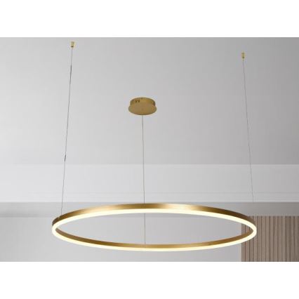 LED prigušiva luster na sajli LED/72W/230V 3000-6500K prečnik 100 cm + daljinski upravljač