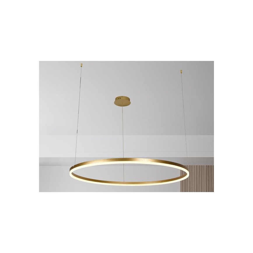 LED prigušiva luster na sajli LED/72W/230V 3000-6500K prečnik 100 cm + daljinski upravljač