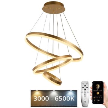 LED prigušiva luster na sajli LED/85W/230V 3000-6500K prečnik 60 cm + daljinski upravljač