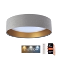 LED prigušiva plafonska lampa SMART GALAXY LED/24W/230V prečnik 45 cm 2700-6500K Wi-Fi Tuya siva/zlatna + daljinski upravljač