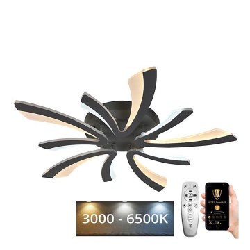 LED prigušiva plafonska lampa za površinsku montažu LED/55W/230V 3000-6500K + daljinski upravljač