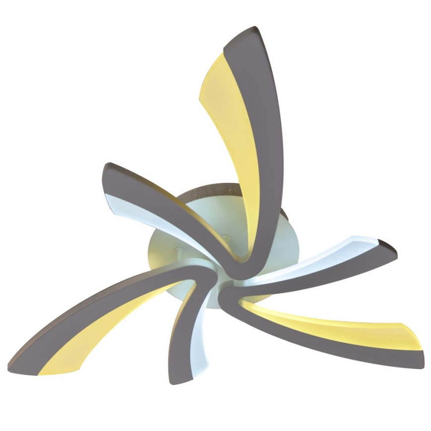 LED prigušiva stropna svetiljka FLORANCE 2xLED/30W/230V + daljinski upravljač