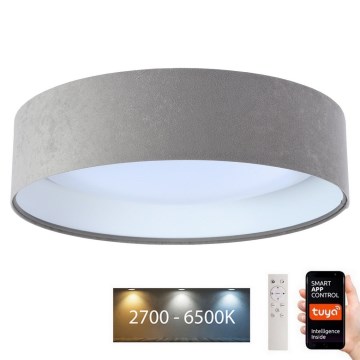 LED prigušiva plafonska svetiljka SMART GALAXY LED/36W/230V prečnik 55 cm 2700-6500K Wi-Fi Tuya siva/bela + sa daljinskim upravljačem