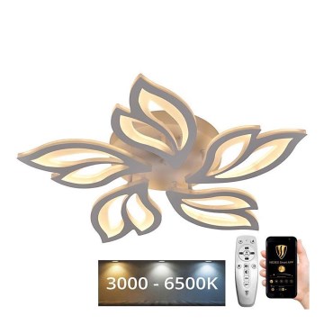 LED prigušiva plafonski luster LED/65W/230V 3000-6500K + daljinski upravljač