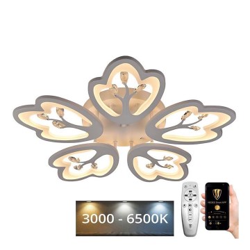 LED prigušiva plafonski luster LED/80W/230V 3000-6500K + daljinski upravljač