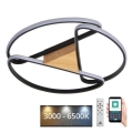 LED prigušiva plafonsko svetlo LED/75W/230V 3000-6500K braon/crna + daljinski upravljač