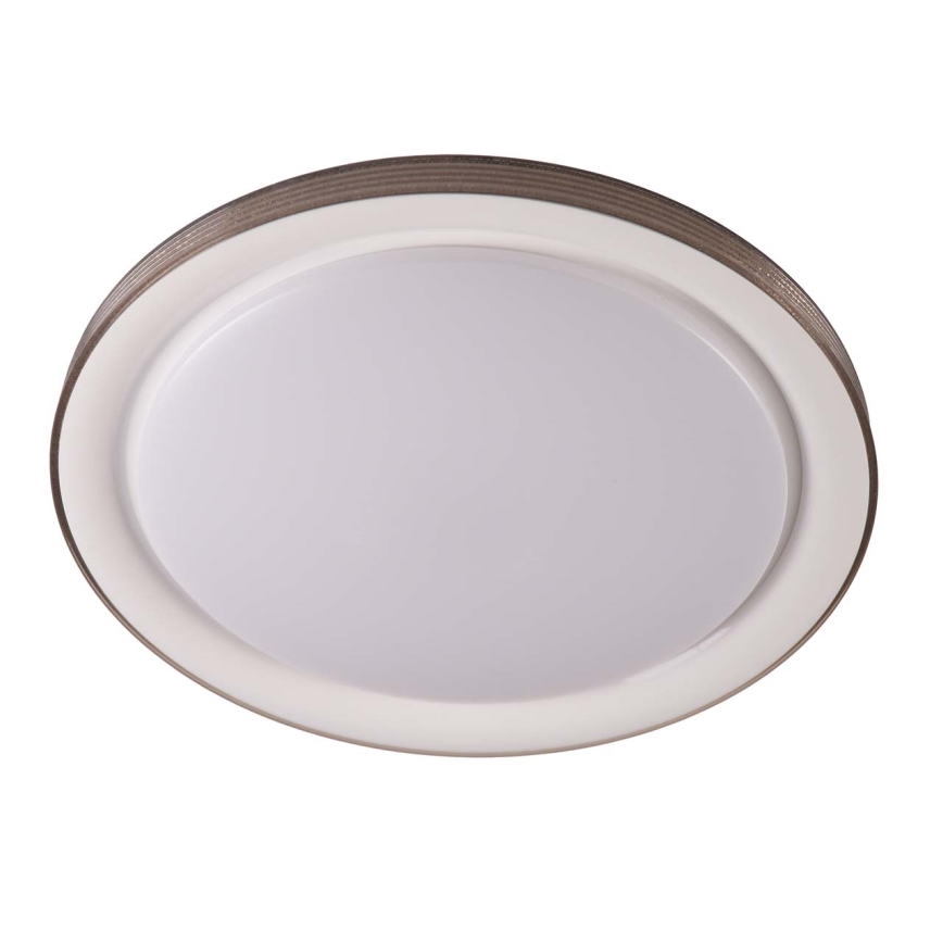 LED prigušiva kupatilska stropna svetiljka GRAŻYNA LED/48W/230V 3000-6000K prečnik 41 cm IP44 siva + daljinski upravljač