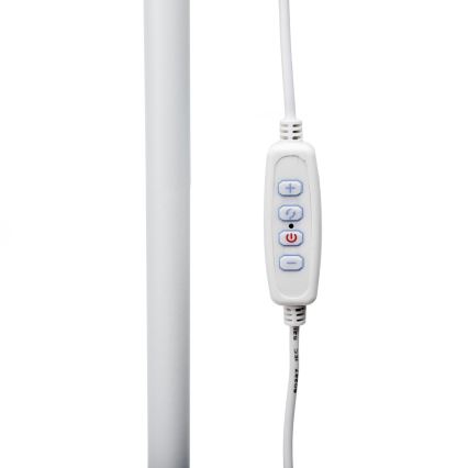 LED prigušiva podna lampa SIGNUS LED/10W/230V 3000/4500/6500K bela