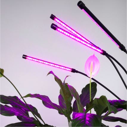 LED prigušiva fleksibilna stojeća lampa za uzgoj biljaka VITARO 4xLED/7,5W/230V crna