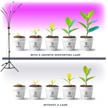 LED prigušiva fleksibilna stojeća lampa za uzgoj biljaka VITARO 4xLED/7,5W/230V crna