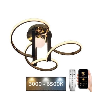 LED prigušiva prislonjena plafonska lampa LED/70W/230V 3000-6500K + daljinski upravljač