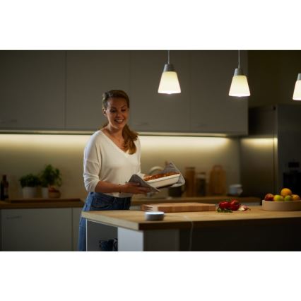 LED prigušiva sijalica A60 E27/8W/230V 2700K CRI 90 Wi-Fi - WiZ