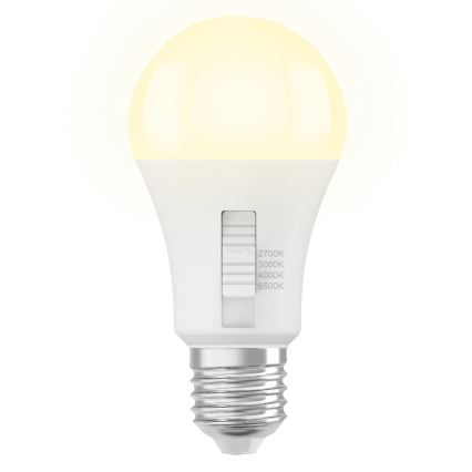 LED prigušiva sijalica CLASSIC A60 E27/13W/230V 2700/3000/4000/6500K - Osram